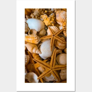 Relax Yoga Seashells Meditation Summer Beach Posters and Art